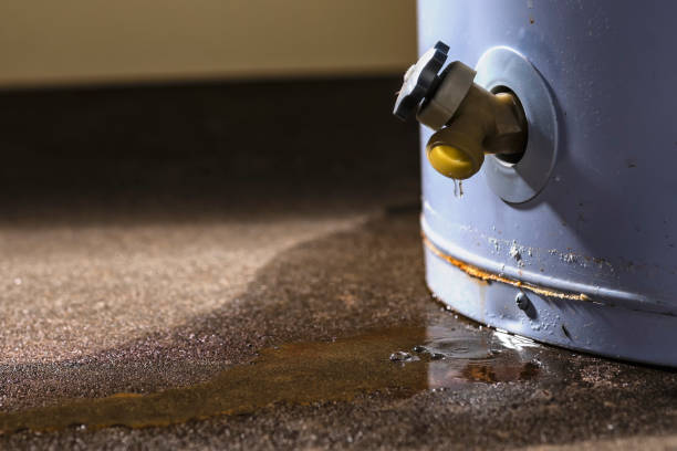 Best Carpet water damage restoration  in Sugar Grove, IL