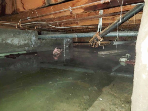 Reliable Sugar Grove, IL Water damage restoration Solutions
