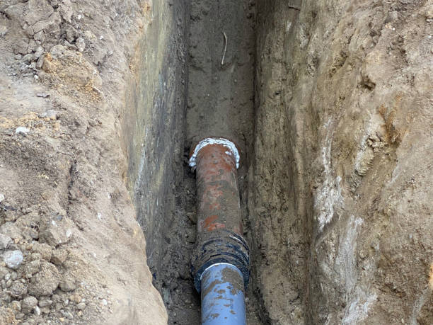 Best Flood damage cleanup  in Sugar Grove, IL