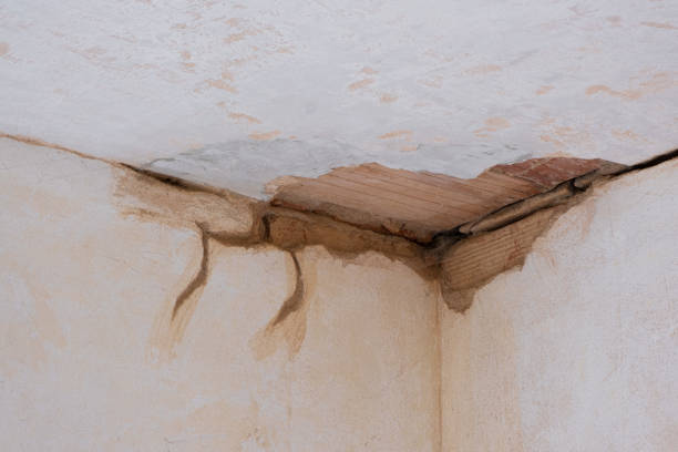 Best Water damage cleanup near me  in Sugar Grove, IL