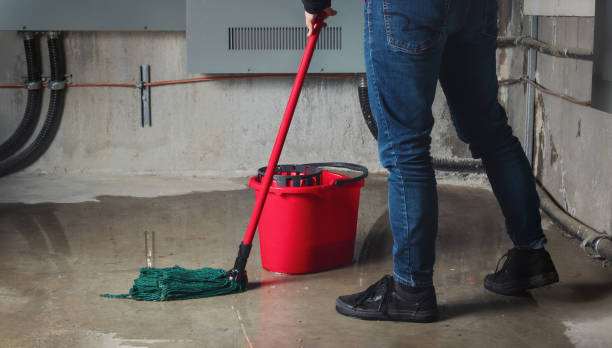 Best Ceiling water damage repair  in Sugar Grove, IL