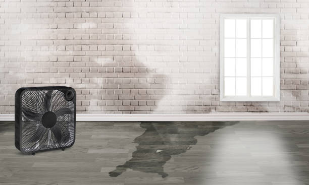 Water damage restoration experts in Sugar Grove, IL