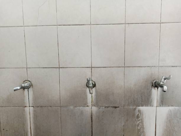 Best Residential water damage restoration  in Sugar Grove, IL