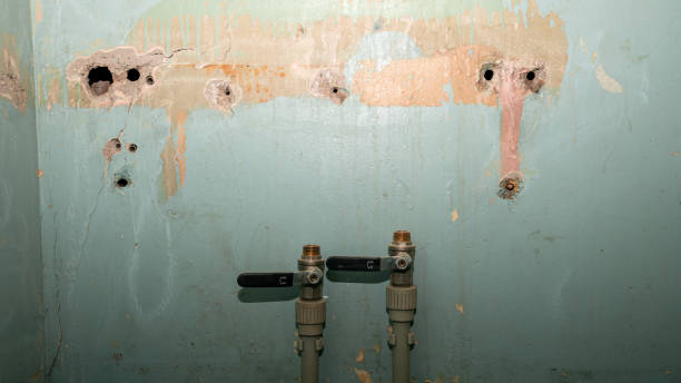 Best Professional water damage repair  in Sugar Grove, IL