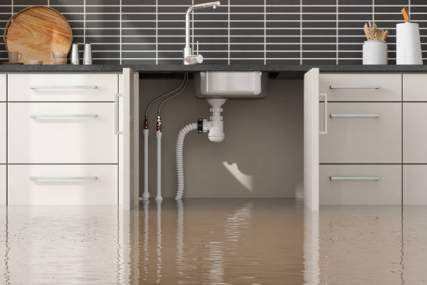 Best Water damage restoration insurance claims  in Sugar Grove, IL