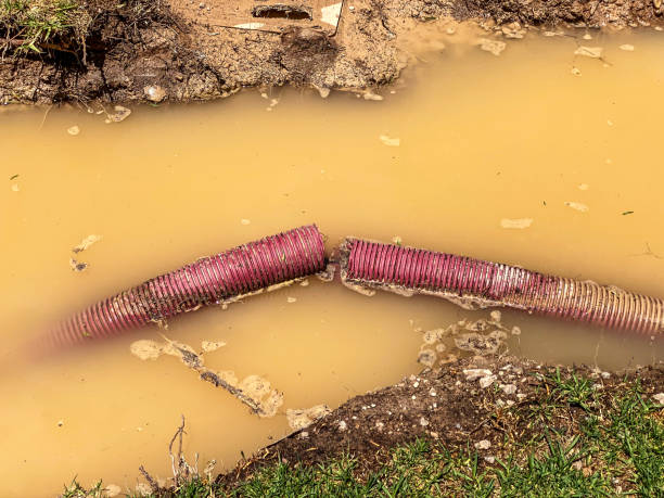 Best Water damage contractors near me  in Sugar Grove, IL